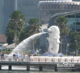 注意事項,新馬,旅游