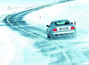 開車上墳車應該注意事項