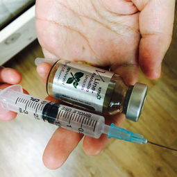 vline溶脂針和紅溶脂哪個好,韓國vline溶脂針,vline溶脂針價格