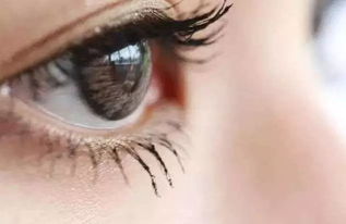 初學(xué)者,注意事項,美瞳線