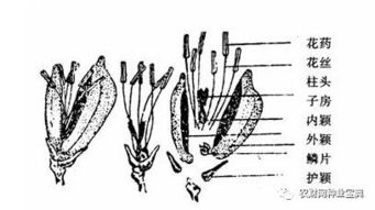 旱改水項目注意事項,旱改水監(jiān)理要注意事項,旱改水提質(zhì)改造項目施工注意事項
