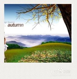 單位組織出游注意事項(xiàng)