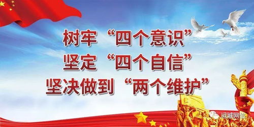 選舉,注意事項,人大