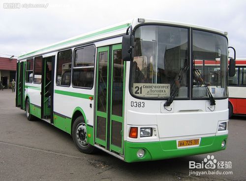 歐洲,公交車,注意事項