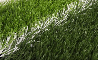 草皮鋪設注意事項