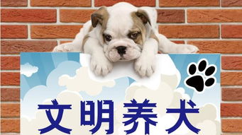 養(yǎng)狗,注意事項(xiàng),農(nóng)村