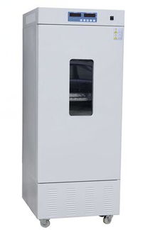 霉菌,注意事項,培養(yǎng)箱