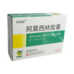 阿莫西林,膠囊,用法,注意事項