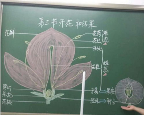 簡述教師應(yīng)用板書的注意事項(xiàng)