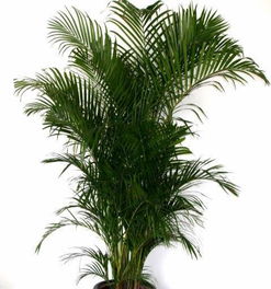 注意事項(xiàng),辦公室