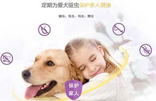幼犬,注意事項(xiàng),吃犬心保