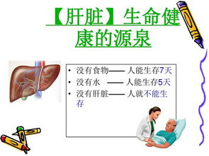 肝膽排毒后的注意事項(xiàng)