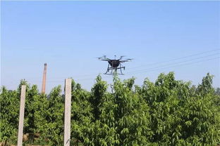 植保無人機注意事項,植保無人機除草注意事項,植保無人機鋰電池注意事項