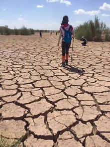 敦煌沙漠徒步三天注意事項,沙漠徒步行走安全注意事項,20公里越野徒步的注意事項