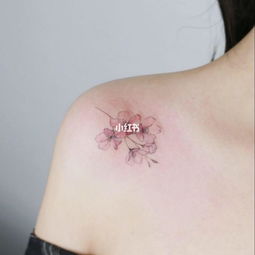 紋完紋身后的注意事項,紋身后注意事項,紋身后注意事項及保養(yǎng)