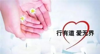 獻血前注意事項,女性獻血注意事項,獻血前一天注意事項