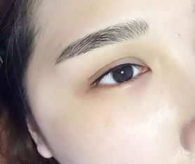 注意事項(xiàng),植物,紋眉