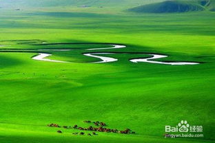 去草原旅行注意事項(xiàng)