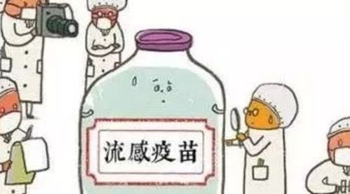 疫苗,流感,注意事項