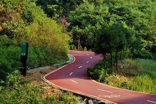 北蔡森林公園規(guī)劃,亞龍灣熱帶天堂森林公園注意事項,森林公園春游時的注意事項