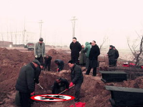 需注意,事項(xiàng),父母