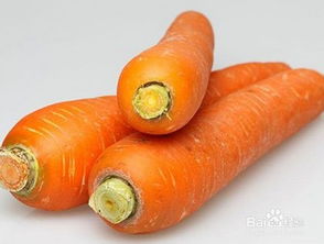 注意事項,蔬菜,運輸