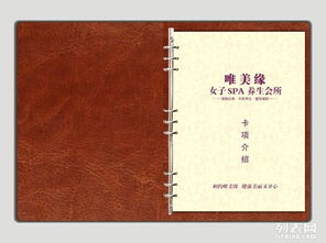 美容院項目手冊設(shè)計注意事項