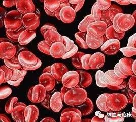 懸浮紅細(xì)胞輸注速度,輸懸浮紅細(xì)胞的速度和注意事項(xiàng),輸入懸浮紅細(xì)胞注意事項(xiàng)