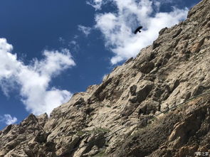 格爾木到拉薩自駕游注意事項(xiàng),成都到拉薩自駕游注意事項(xiàng),去新疆自駕游注意事項(xiàng)