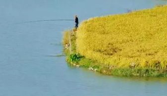 兒童釣魚注意事項(xiàng)