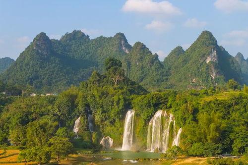 游玩,注意事項,黃楊