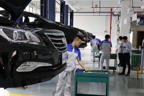 注意事項(xiàng),汽車,水性漆