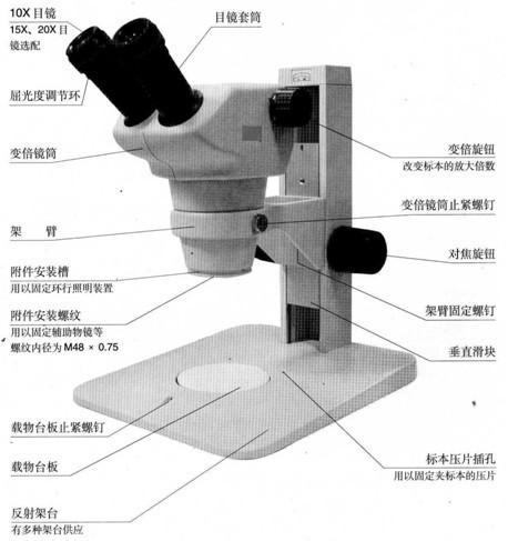 顯微鏡的結(jié)構(gòu)及使用注意事項,相差顯微鏡的使用注意事項,普通光學(xué)顯微鏡的使用注意事項