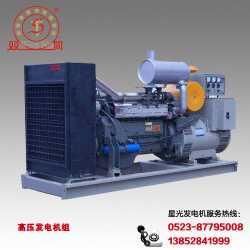 發(fā)電機(jī),注意事項(xiàng)