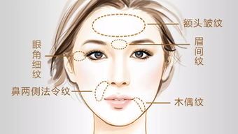 打川子紋除皺針注意事項(xiàng)