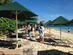 注意事項(xiàng),澳新凱墨