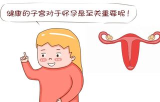 子宮健康注意事項(xiàng)