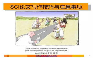 野餐,英語(yǔ),來(lái)寫(xiě),注意事項(xiàng)