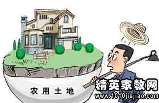 村里,注意事項(xiàng),小區(qū)