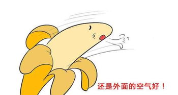 長沙,陰莖,延長,注意事項(xiàng)