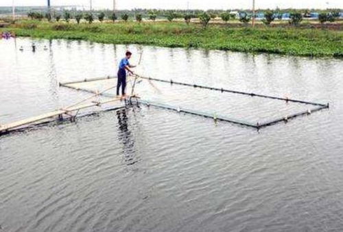 新開(kāi)挖魚(yú)塘注意事項(xiàng)