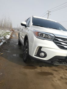 新車,注意事項(xiàng),GS4