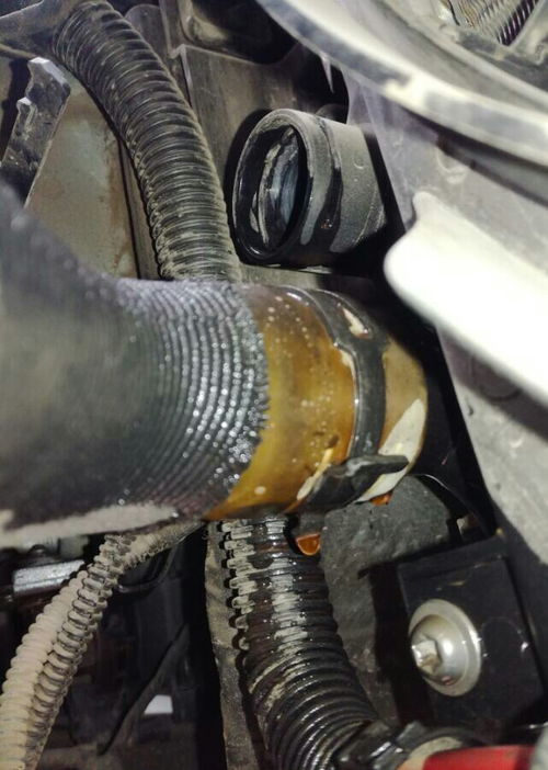 速騰更換防凍液的流程及注意事項,車輛更換防凍液注意事項,防凍液更換流程及注意事項