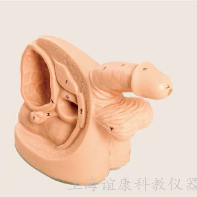 老年人導(dǎo)尿的注意事項,簡述老年人導(dǎo)尿的注意事項,留置導(dǎo)尿的注意事項