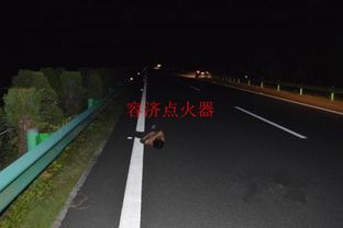 新手晚上跑高速注意事項,晚上跑高速注意事項開不開遠光燈,晚上下雨跑高速注意事項