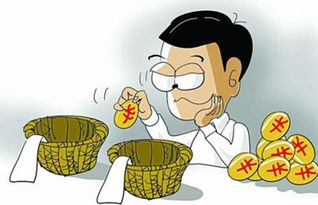 注意事項(xiàng),考察,投資