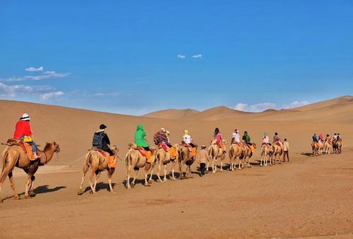 8月青海旅游注意事項出行小貼士,去青海旅游注意事項,青海旅游注意事項出行小貼士
