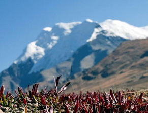 高原,注意事項(xiàng),旅行,地區(qū)