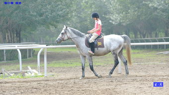 女性騎馬注意事項(xiàng),騎馬的技巧和注意事項(xiàng),新手騎馬的注意事項(xiàng)
