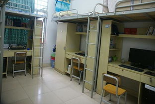 搬遷,學(xué)生宿舍,注意事項